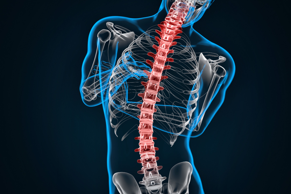 Unifour Chiropractic Alliance Conover, NC